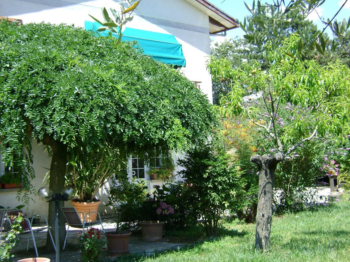 B&B La Mimosa Spello Ngoại thất bức ảnh